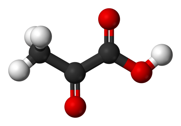 Pyruvate structure at ph 7.4