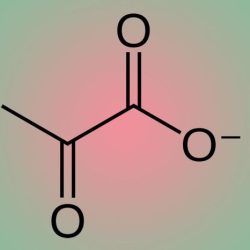 Pyruvate structure at ph 7.4