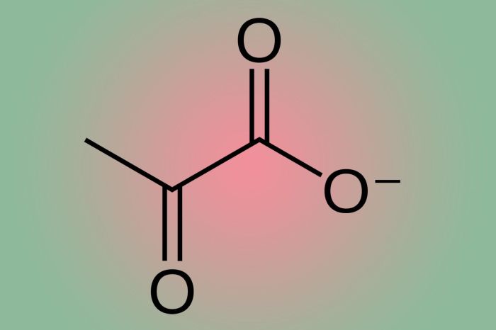 Pyruvate structure at ph 7.4