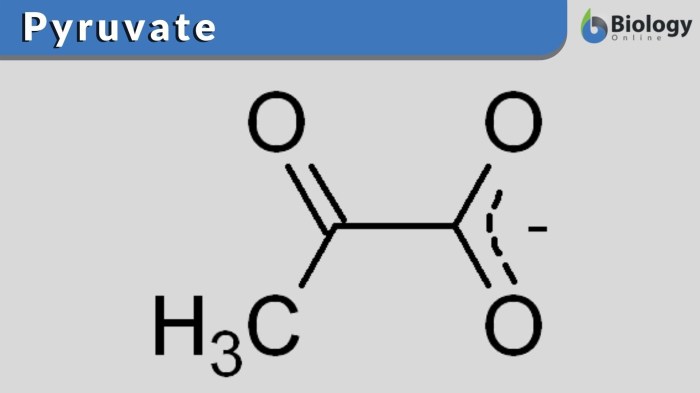 Pyruvate ph coefficients reaction summary show add homeworklib glucose nad glycolysis adp pi results