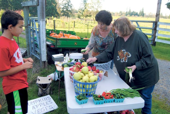 A roadside vegetable stand sells pumpkins for