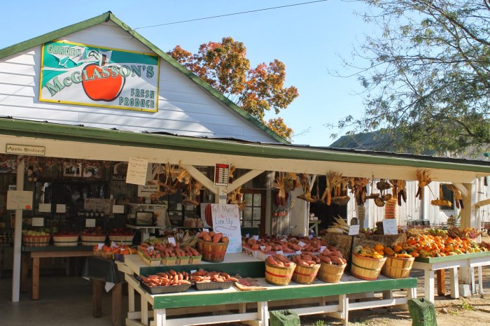 A roadside vegetable stand sells pumpkins for