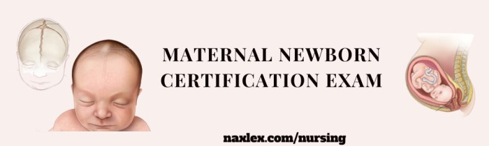 Maternal newborn certification practice test